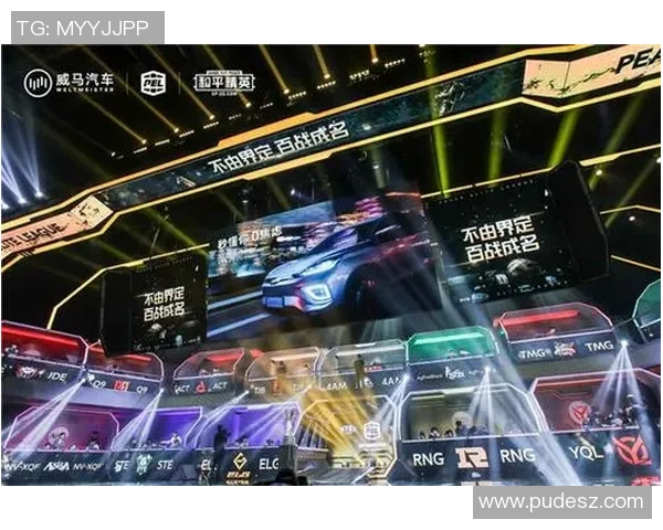 和平精英耐力排行榜揭晓RNG战队荣登第五名引发热议